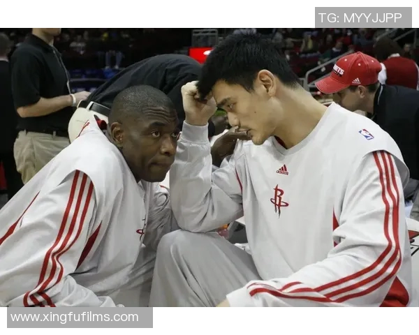 姚明进球gif精彩瞬间回顾篮球巨星的辉煌时刻与传奇表现