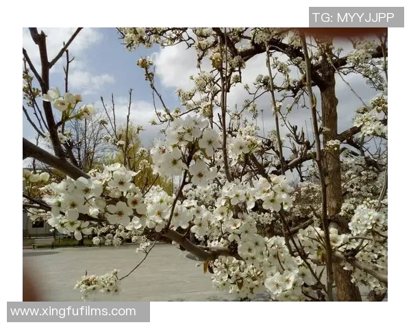 姚明芳沙河的美丽传说与自然魅力探秘之旅