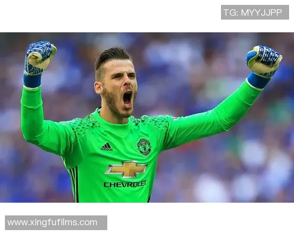 足球明星伊布在训练场上的精彩瞬间与不懈努力展现职业精神与热爱