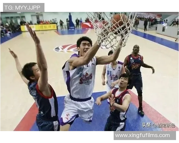 篮球节目明星的魅力与风采探索他们在赛场内外的精彩瞬间与人生故事